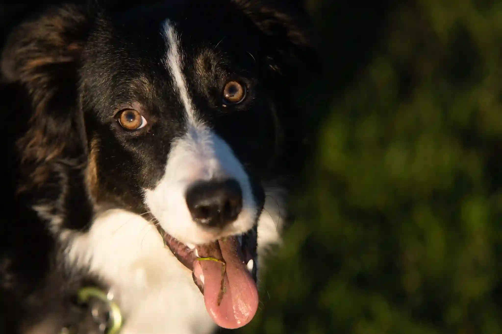 Canal boat on a sunny day